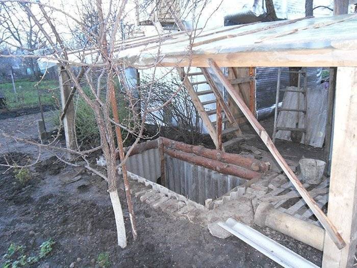 Выращивание породистых кроликов