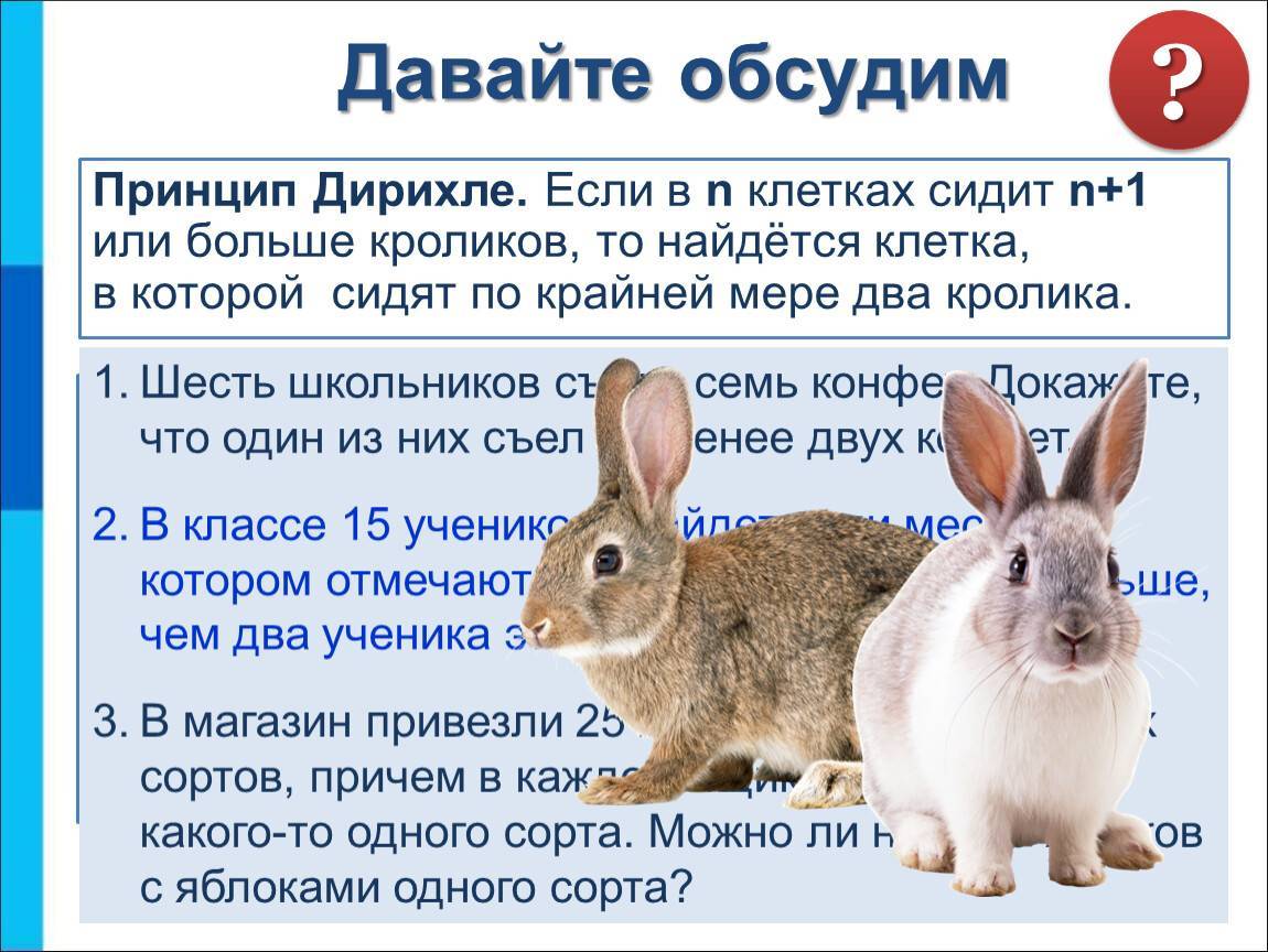 Совместное содержание кур и кроликов