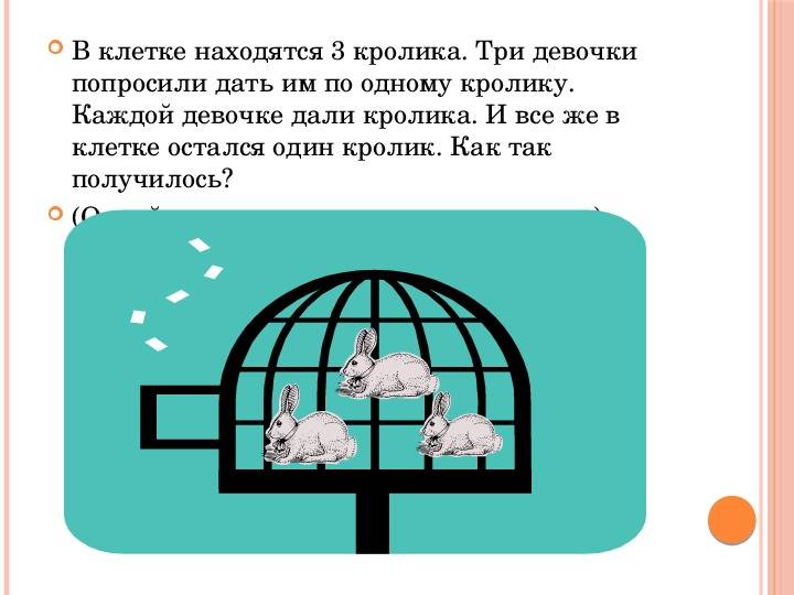 Способы содержания кроликов и сколько зверьков можно держать в одной клетке