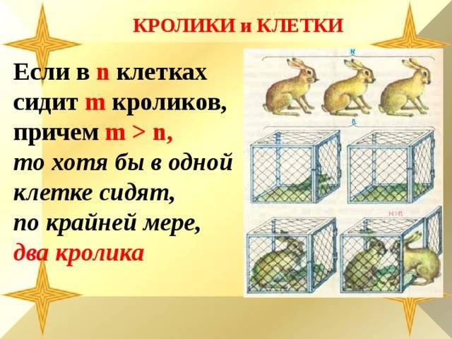 Сколько кроликов можно держать в одной клетке: оптимальное количество и проблемы