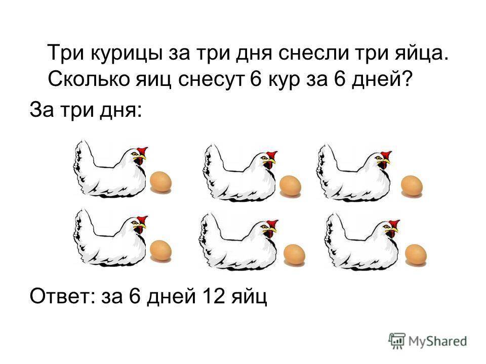 Когда начинают нестись куры молодки несушки, в каком возрасте и как часто